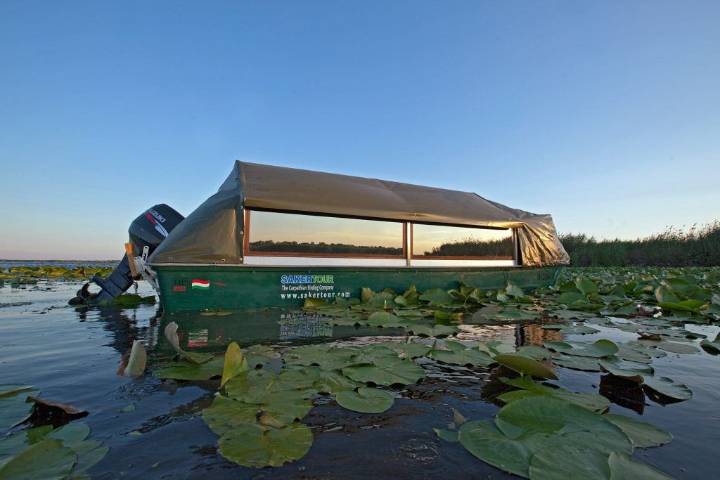 The custom built Borzas Photo Boat makes an ideal and quiet hide for photography in the Danube Delta