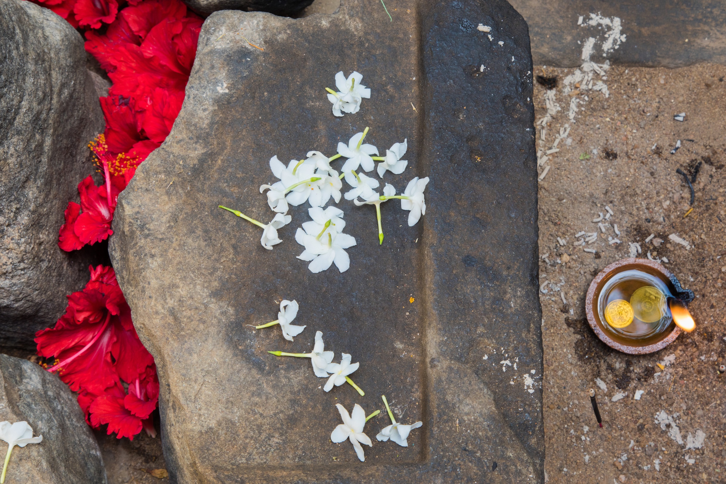 Temple offerings of flowers at Polunnaruwa