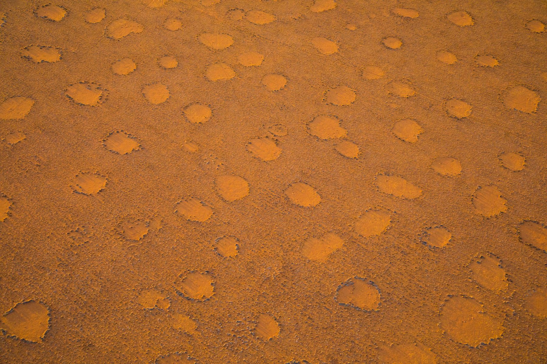 The fairy circles of Namibia during our photography tour