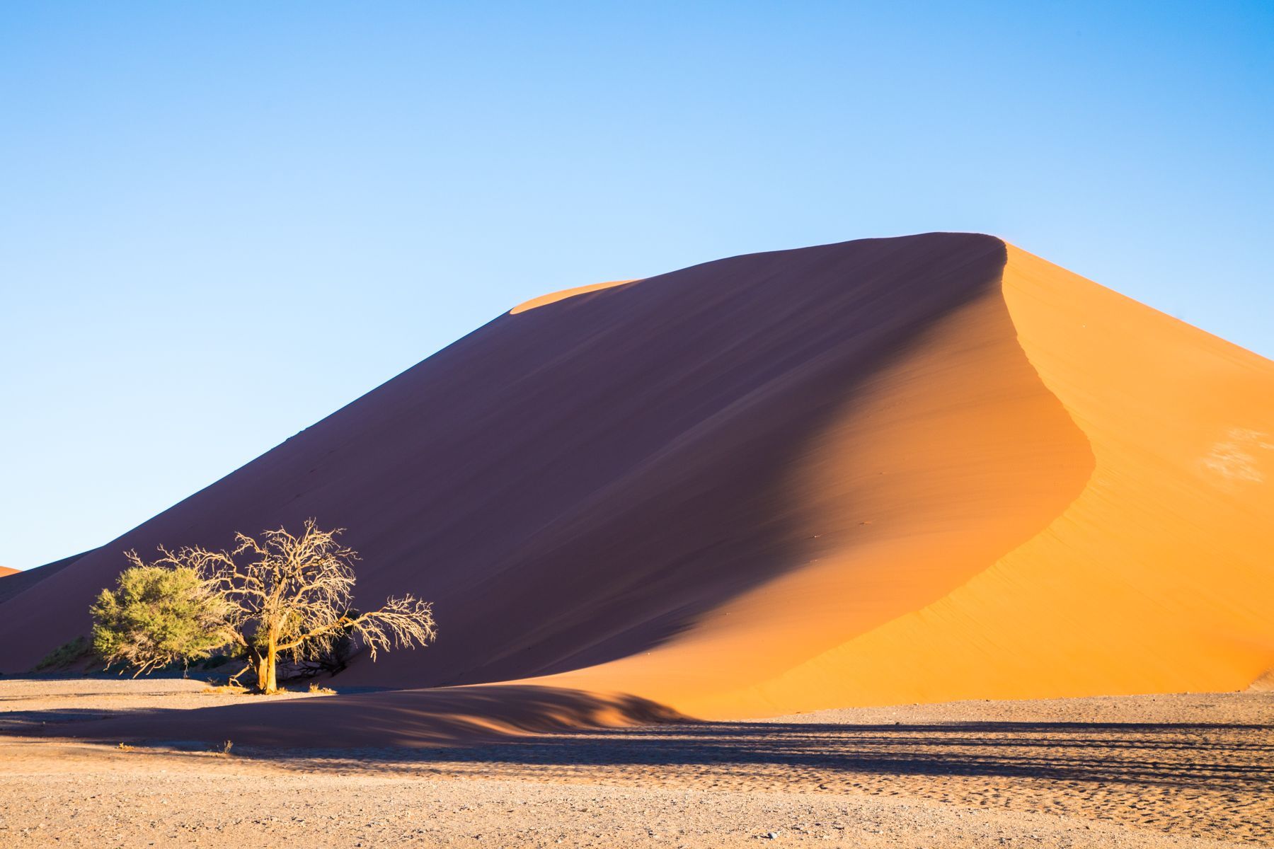 Landscape photography on our tour of Namibia