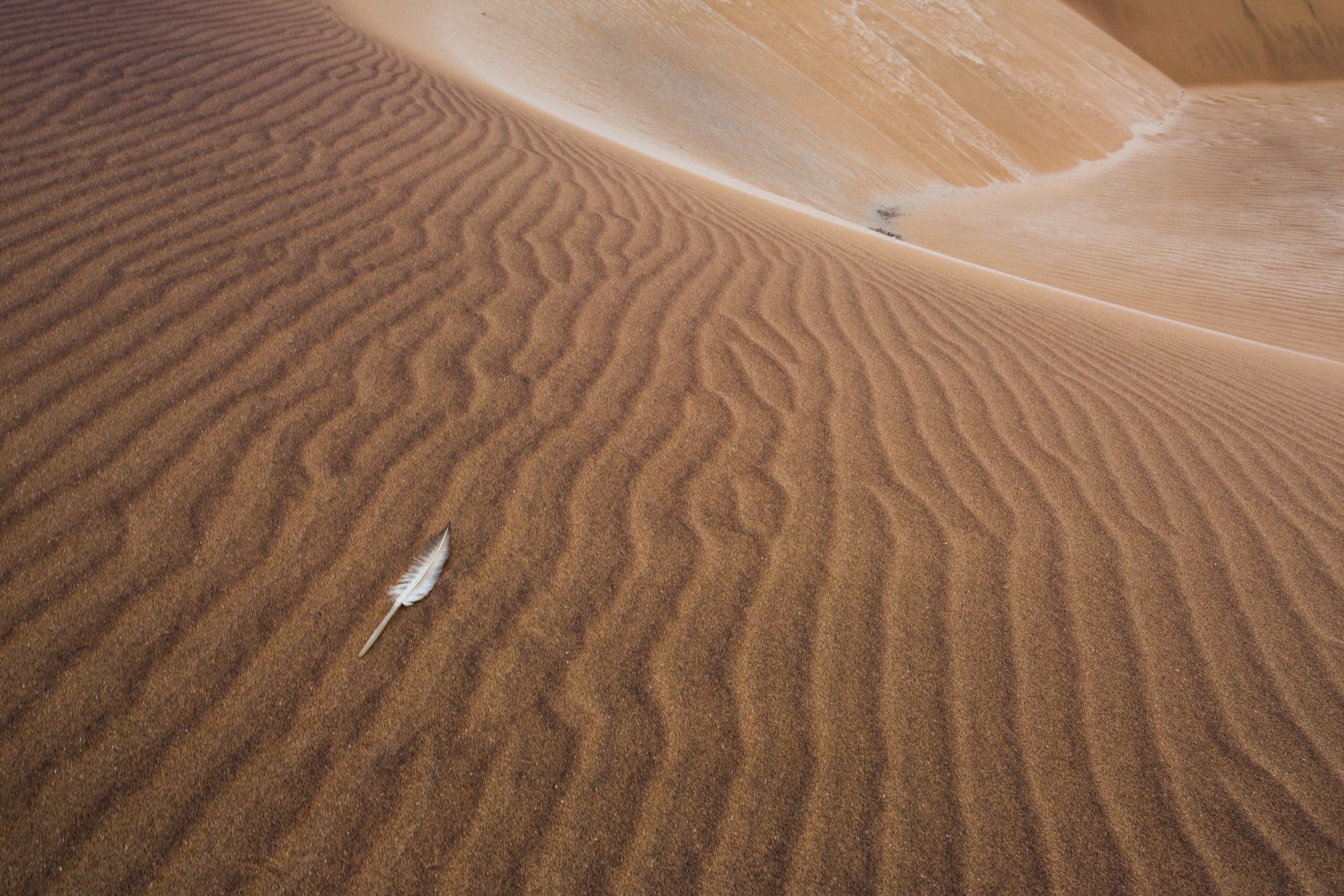 Landscapes are incredible in our photography tour of Namibia