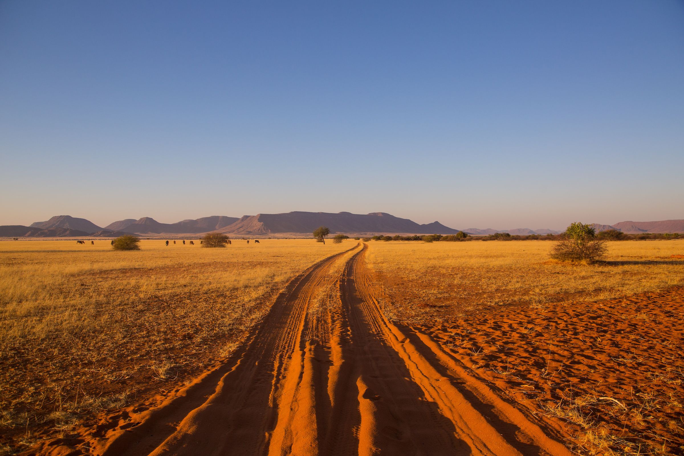 The Road to Nowhere in remote Kaokoland on our Namibia photography tour