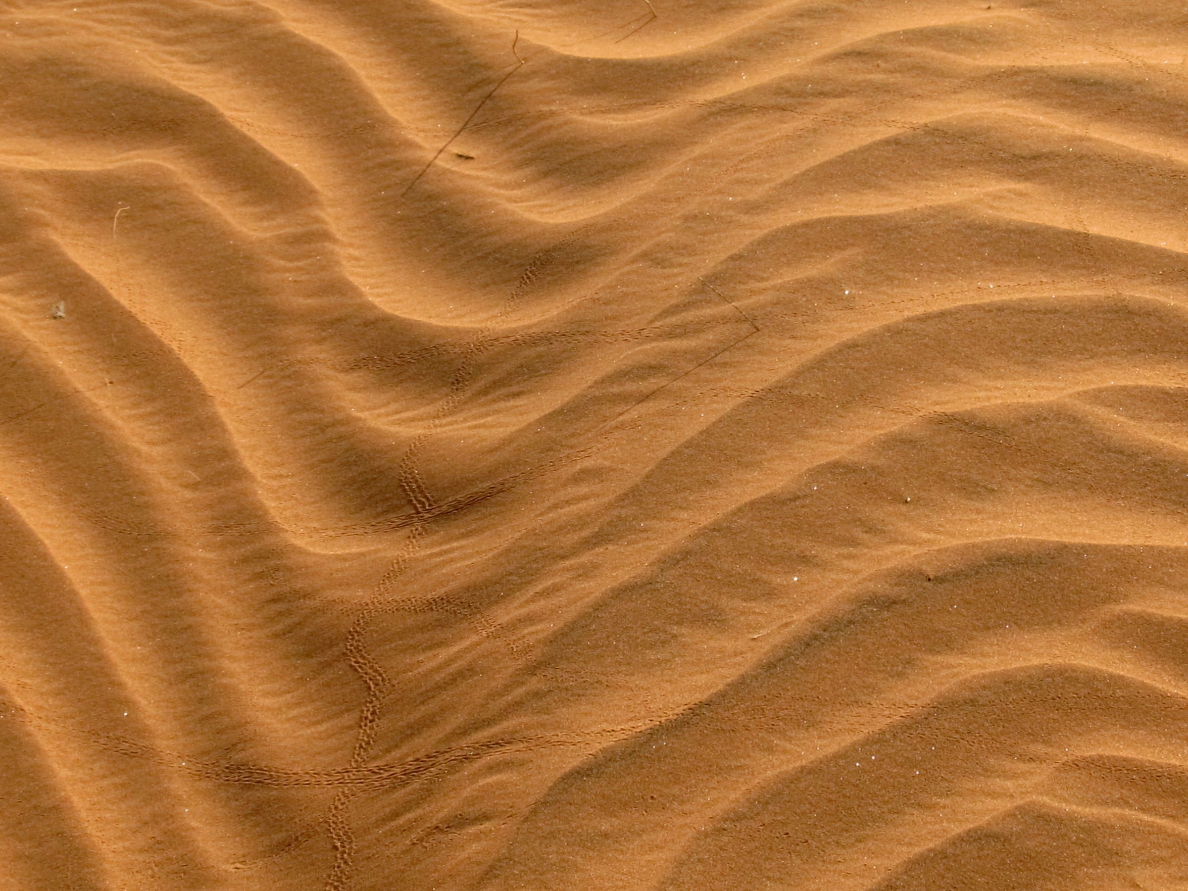 Ripples in the sand dunes of Namibia