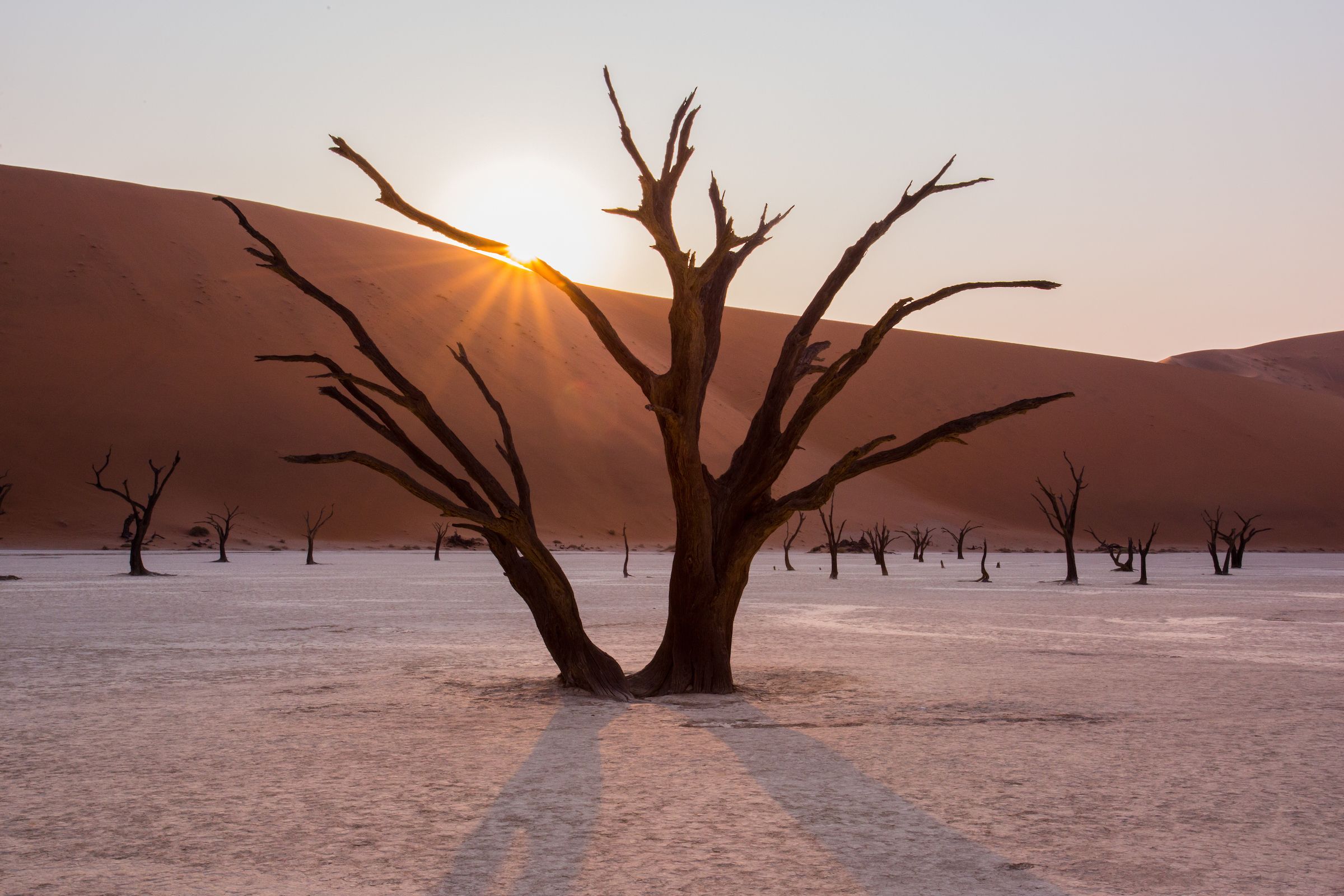 Enjoy sunrise photography in Deadvlei on our Namibia photo tour