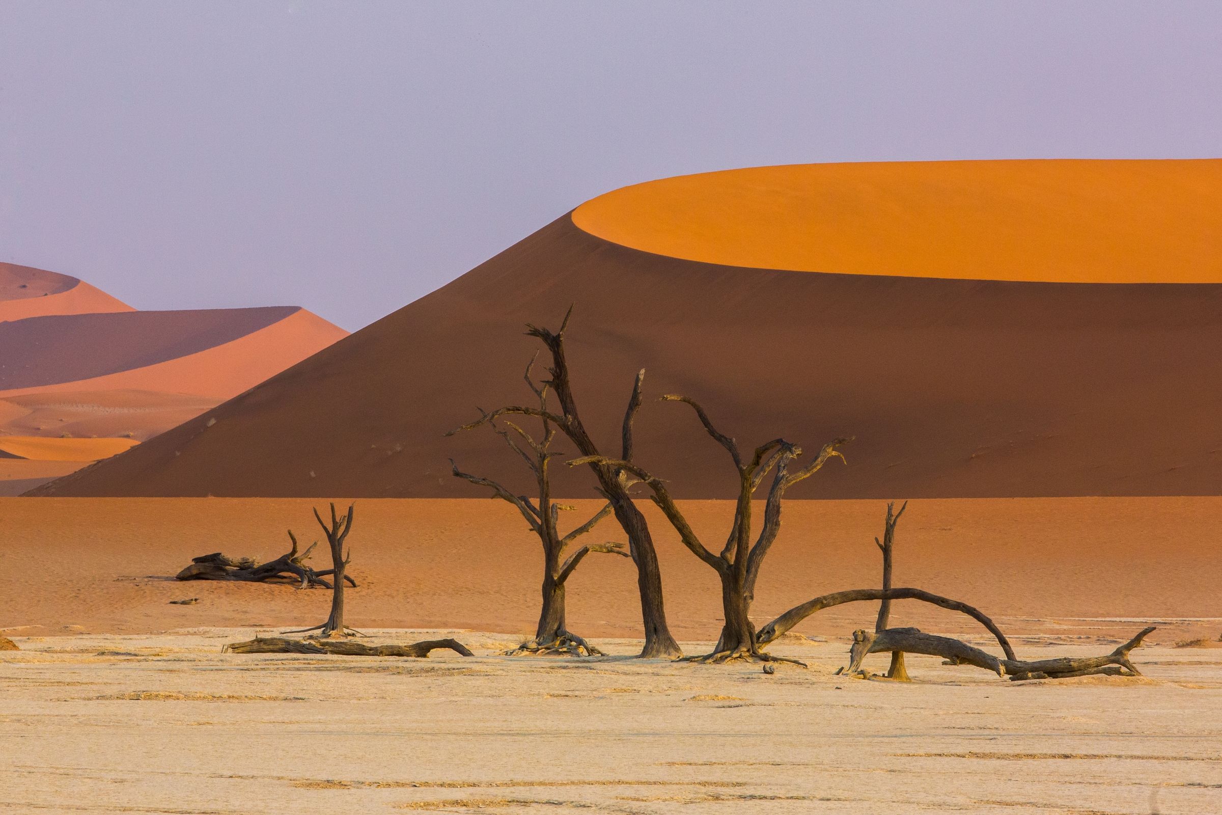 Namibia's iconic Deadvlei is a paradise for landscape photographers