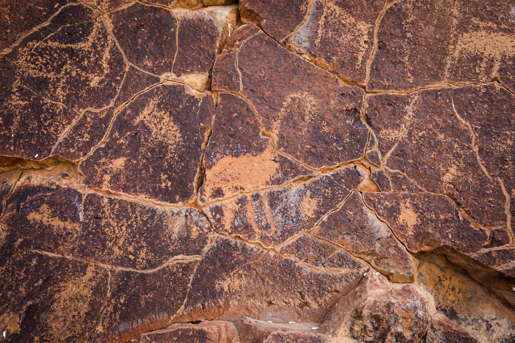 Ancient (dating back to 9th century) rock petroglyphs in Damaraland during our Namibia photography tour