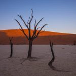 Deadvlei at dawn on our Namibia wildlife photography tour