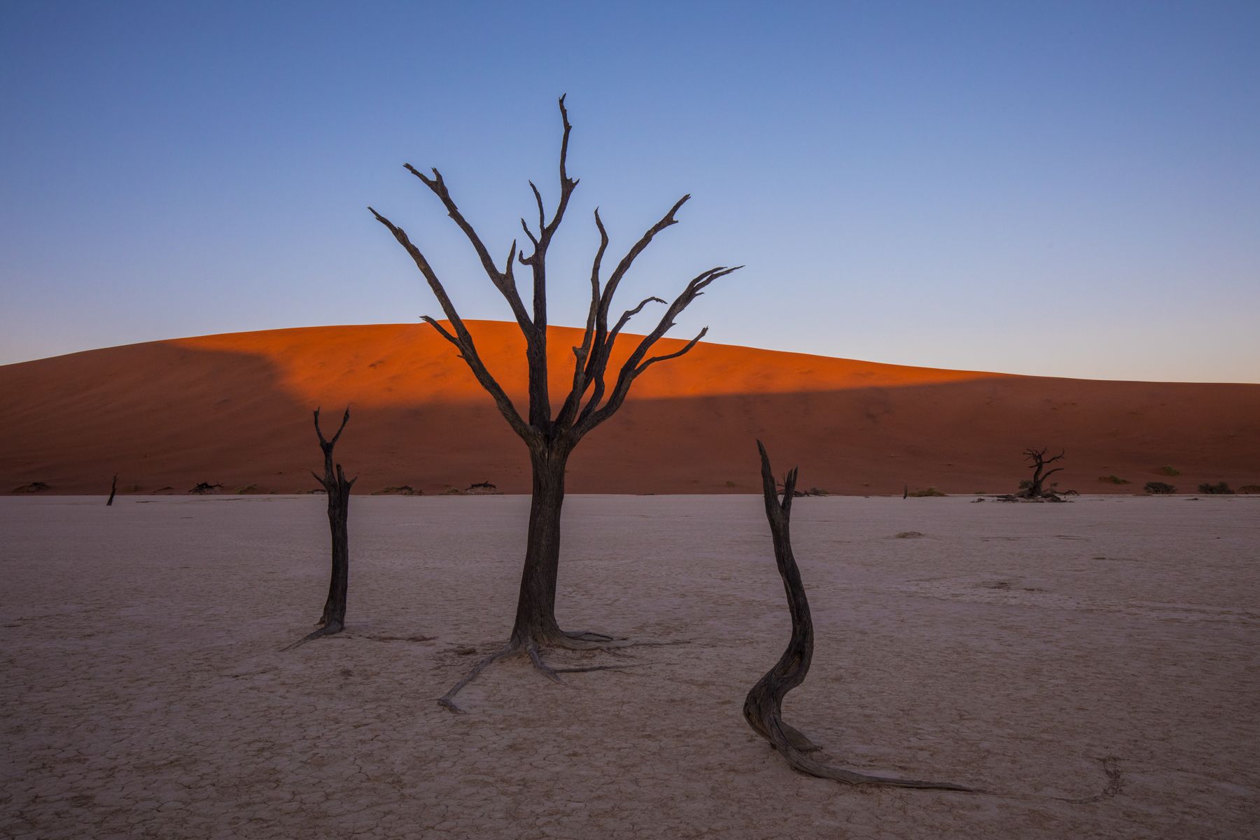 Deadvlei at dawn on our Namibia wildlife photography tour
