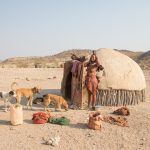 Typical Himba village scene