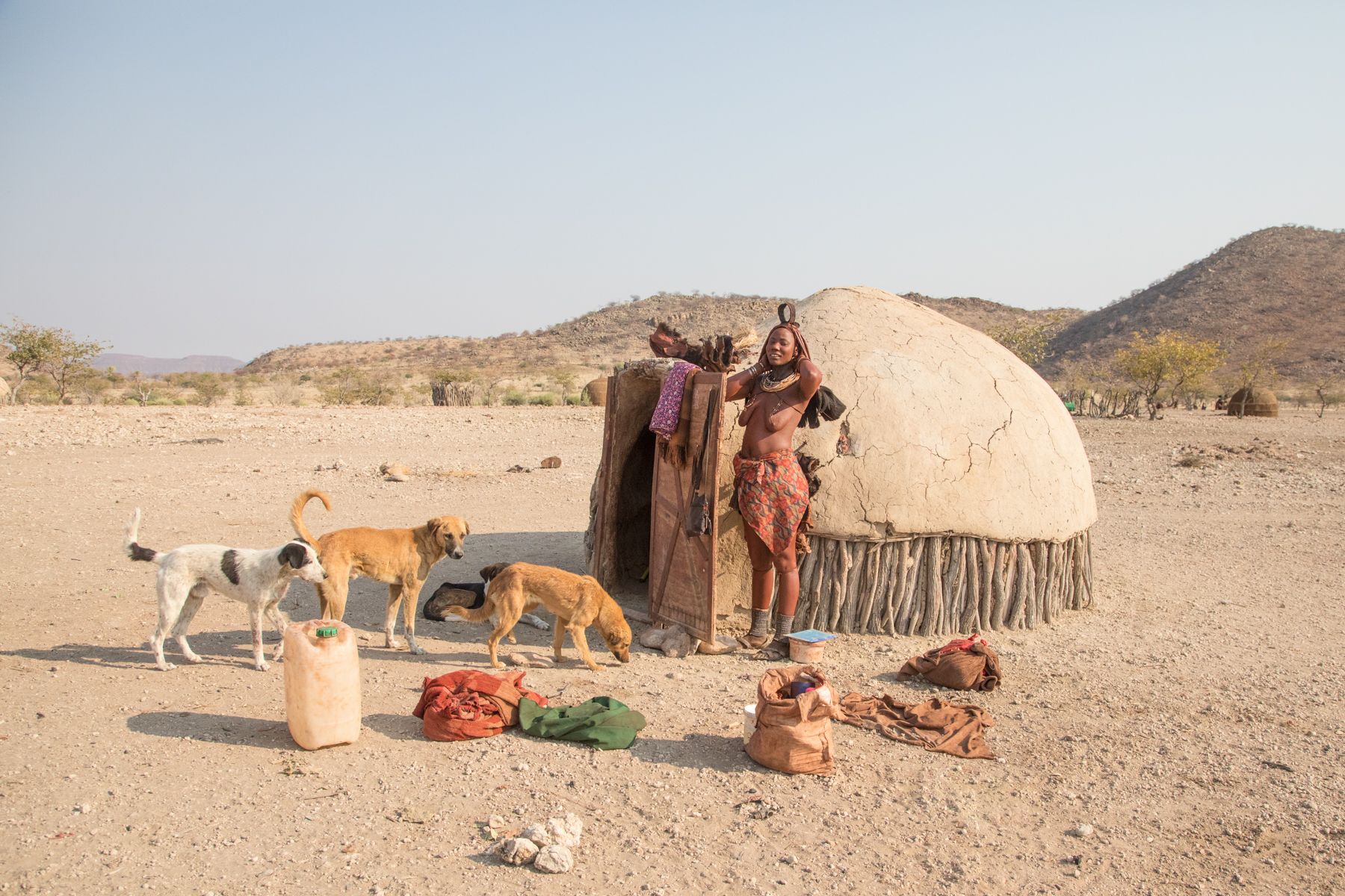 Typical Himba village scene