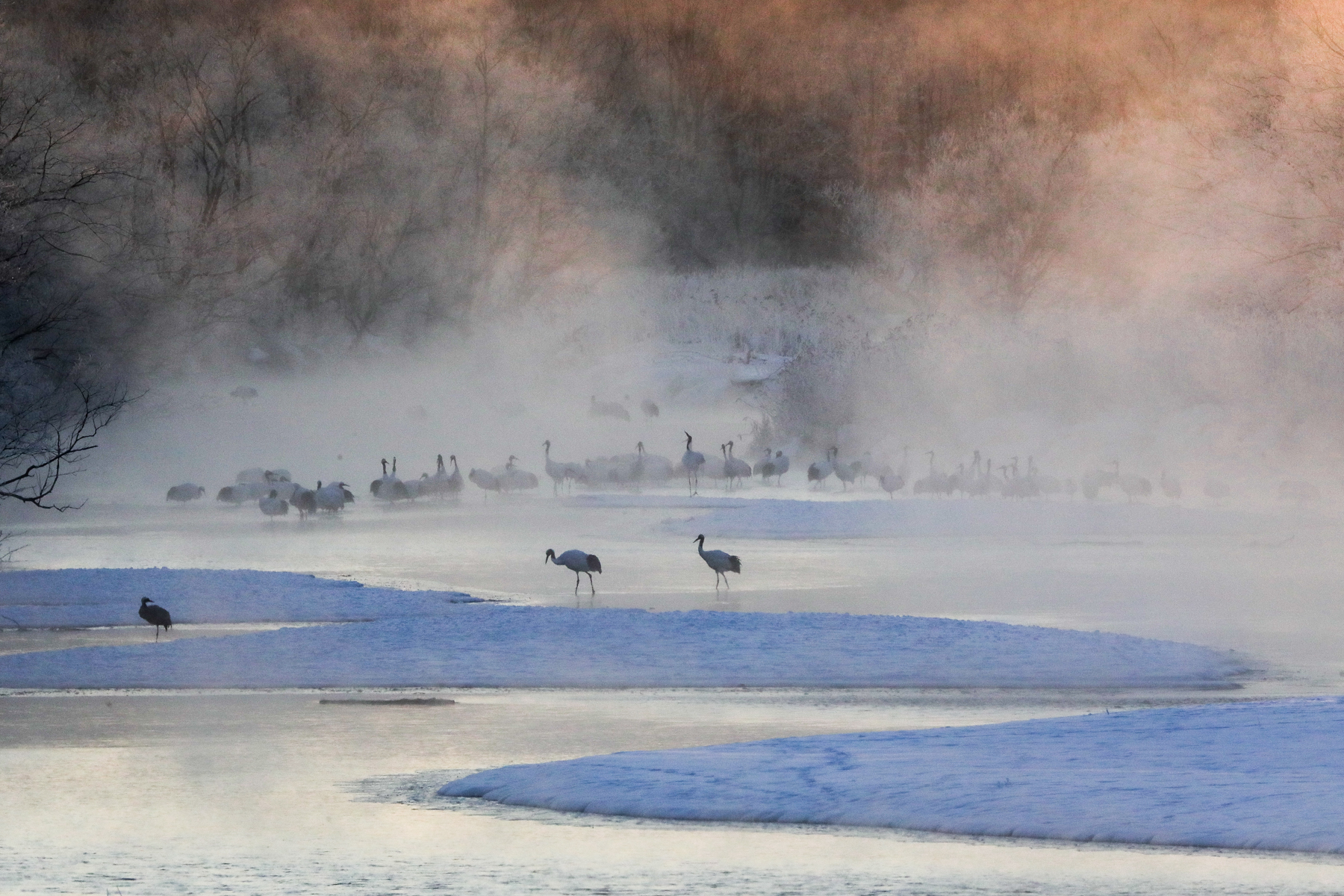 As the first sunlight catches the hoar-frost-covered trees at Otawa, the steam rising from the river adds to the other-worldly scene