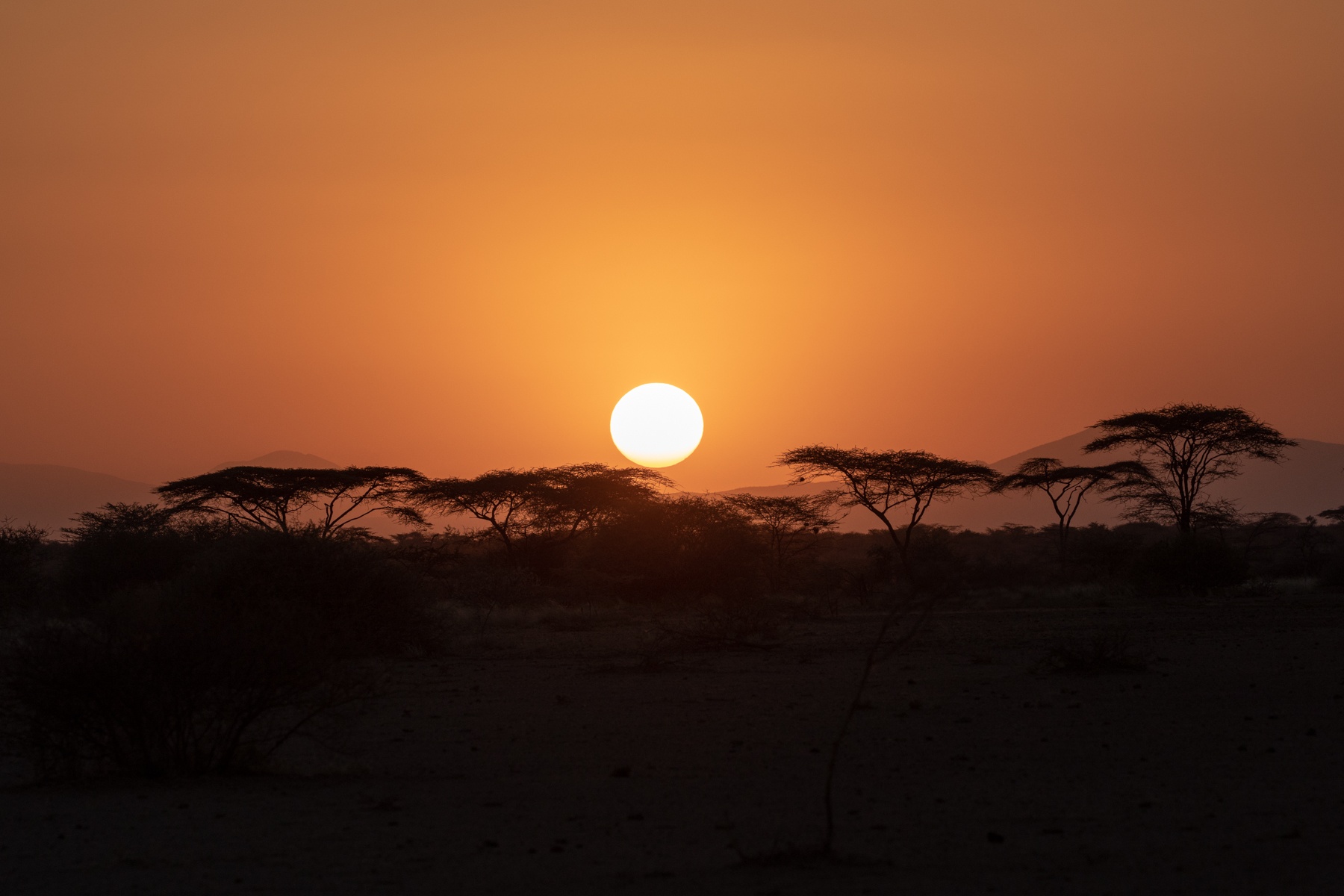 Sunset at Awash National Park