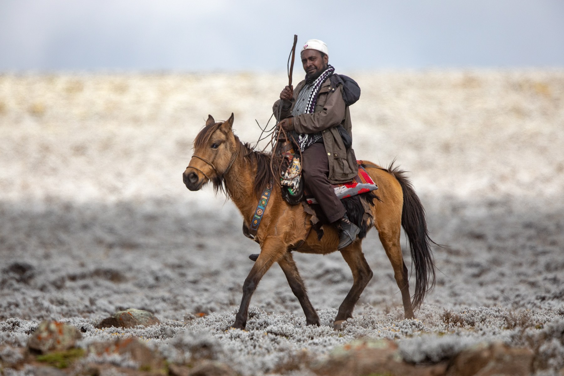 A Bale shepherd crosses the high Afro-alpine moorland