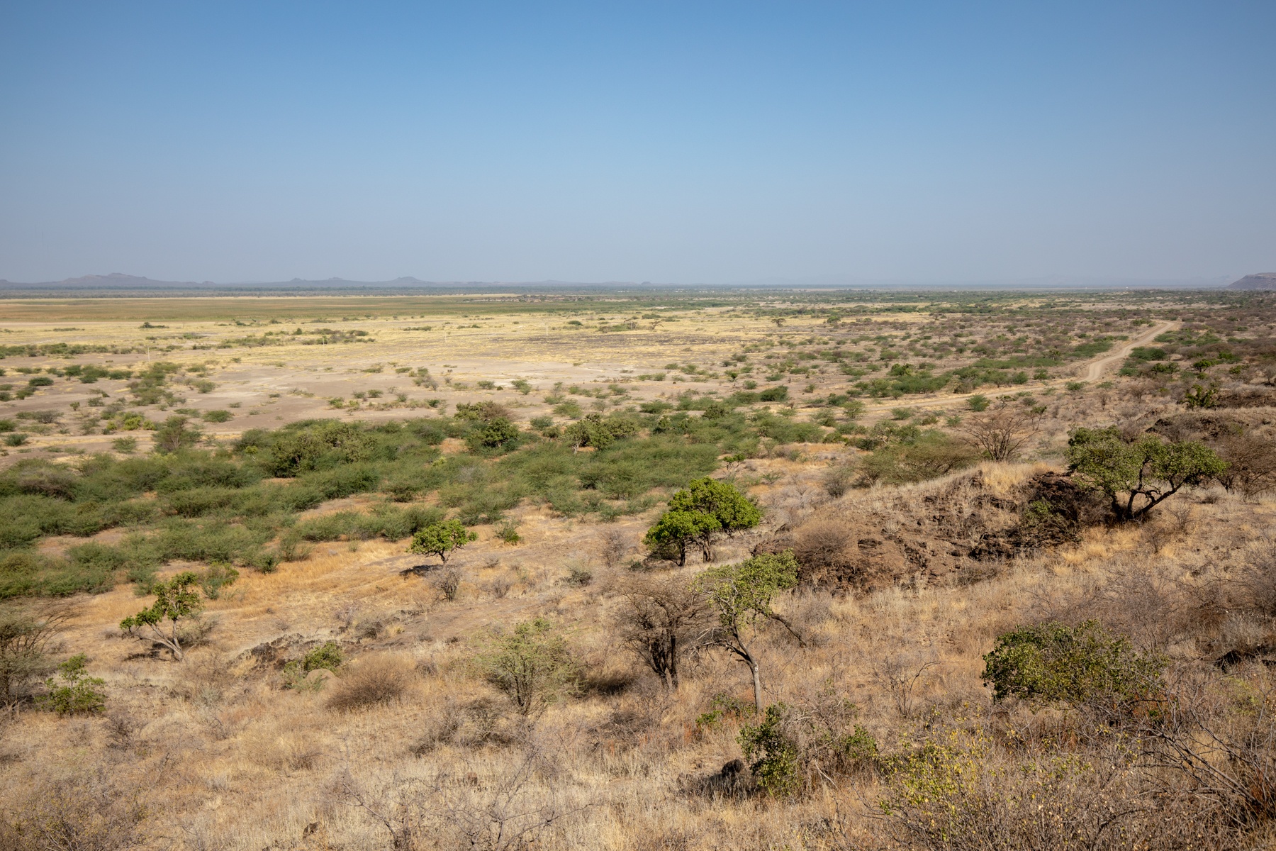 The arid grasslands and thorny woodlands of the Awash region