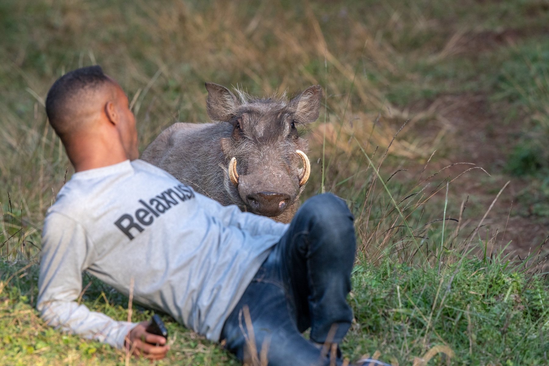 It is not often you turn round and a Common Warthog is right behind you! Except that is at Dinsho, Ethiopia