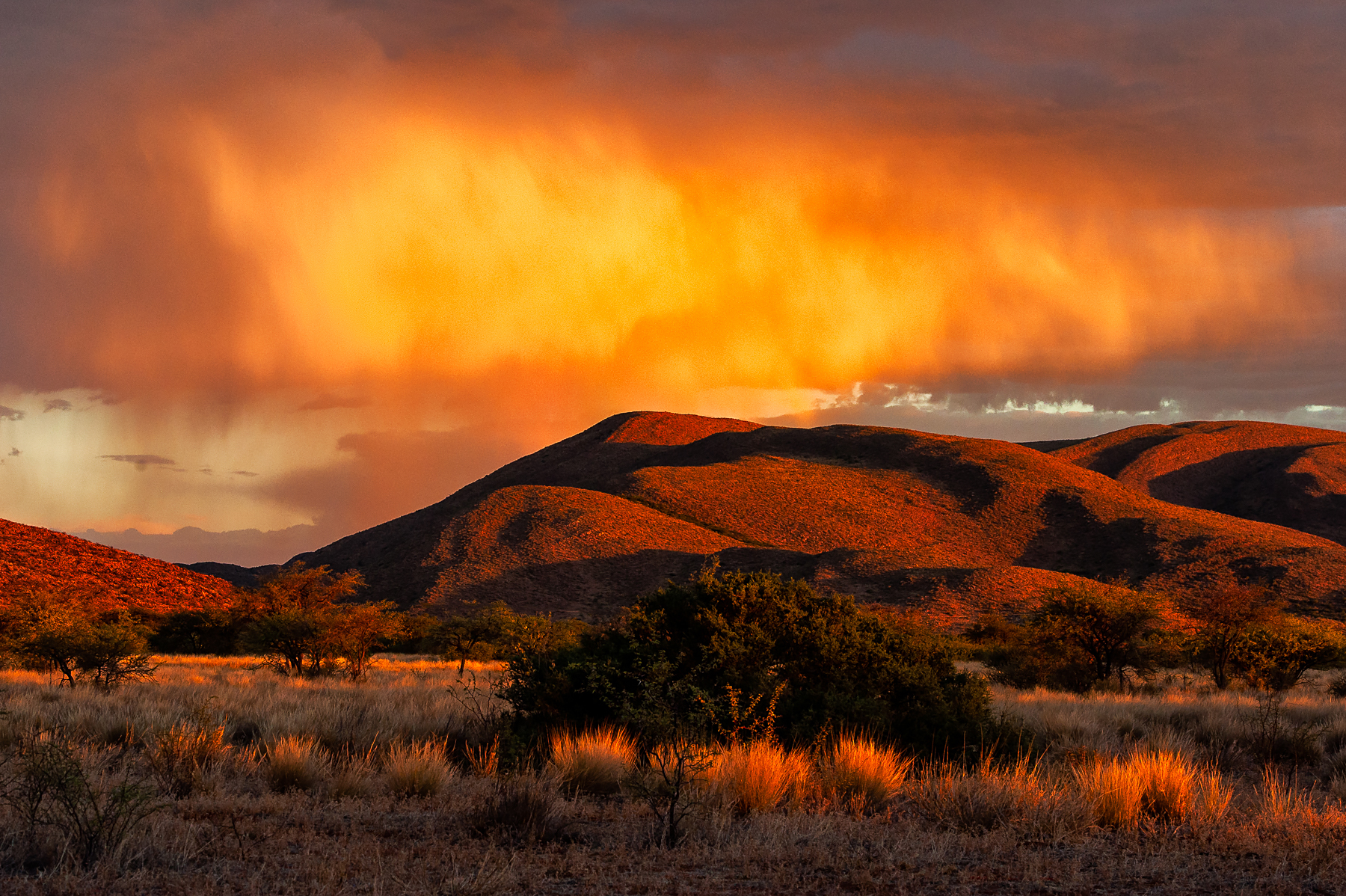 The beguiling landscapes surrounding Tswalu private reserve in the Kalahari region of South Africa