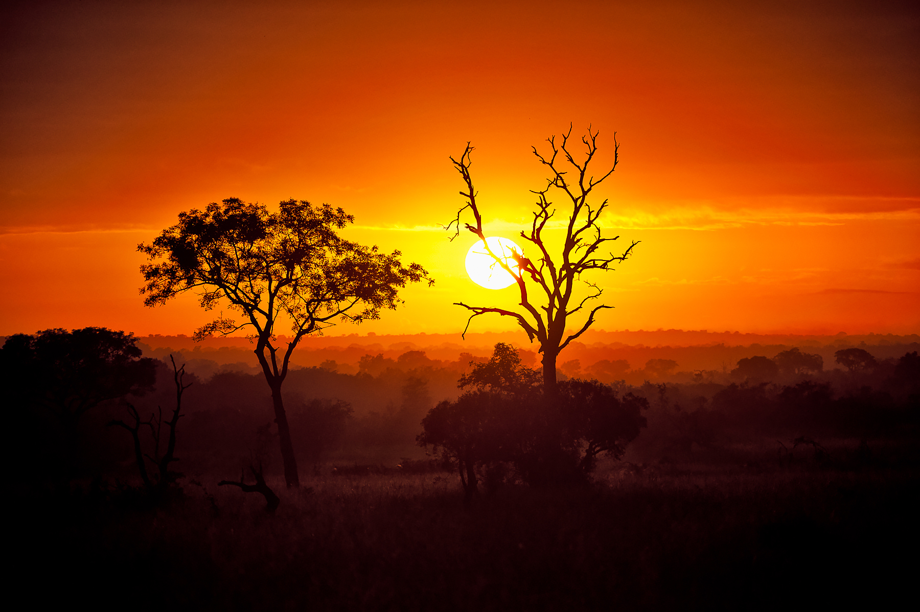 The sunrises and sunsets of Africa are some of the most beautiful in the world.