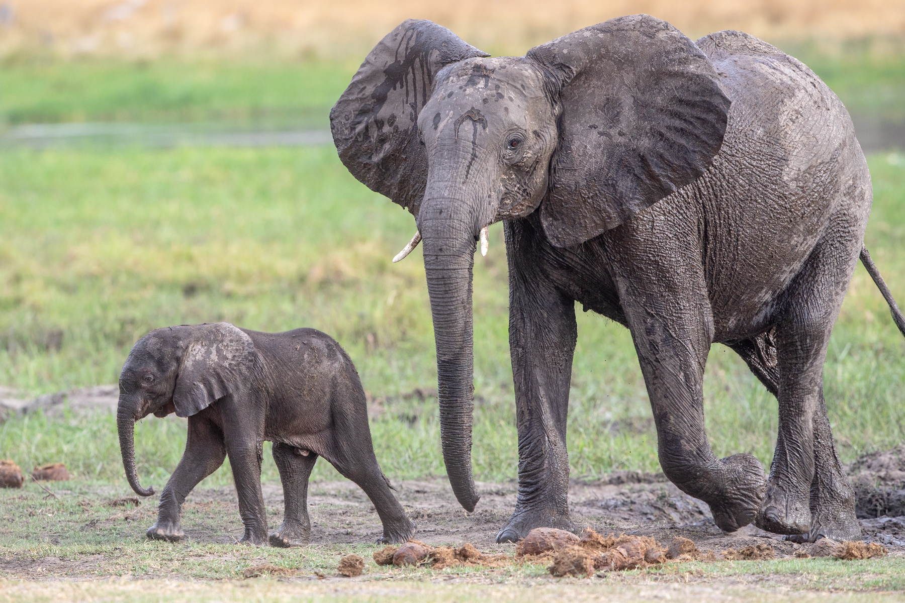 Baby and adolescent, after a bath
