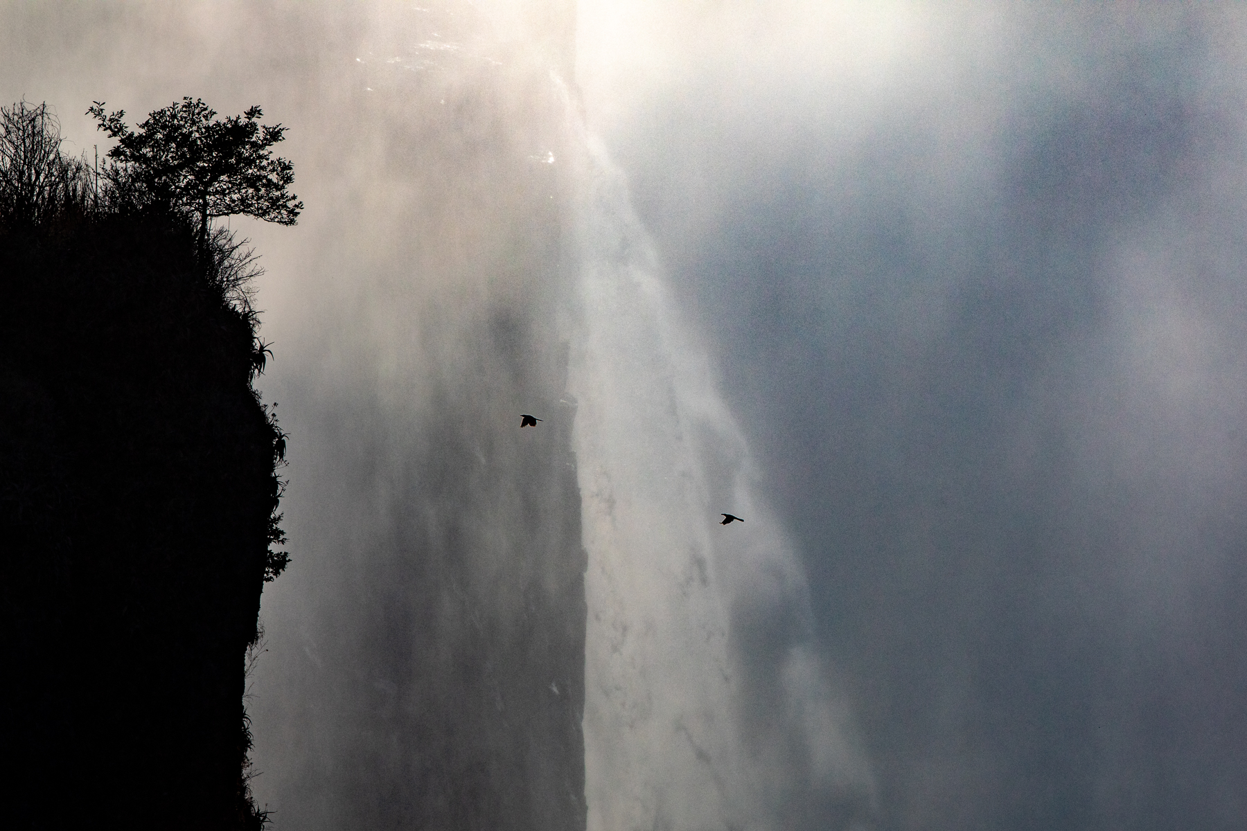 Two birds are dwarfed by the watery immensity of the Victoria Falls