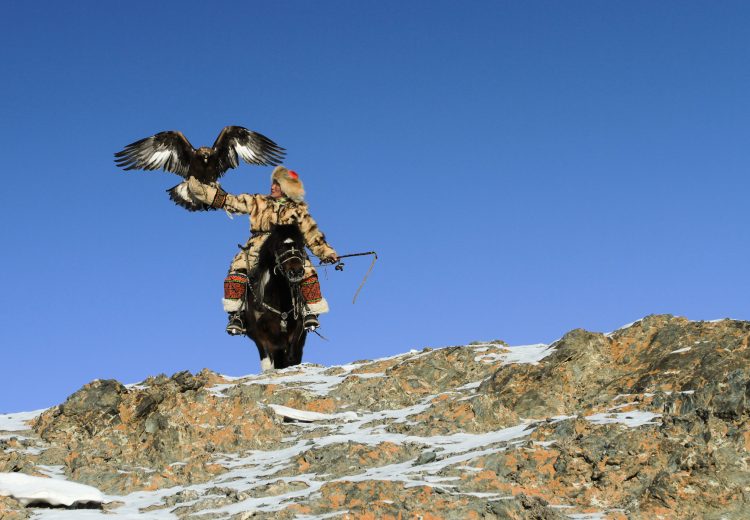 A Kazakh Eagle Hunter prepares to hunt with his eagle high on a Mongolian mountainside on our western Mongolia photography tour