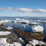 Grounded sea ice in northern Hokkaido, with the Russian-occupied island of Kunashiri in the background (image by Mark Beaman)