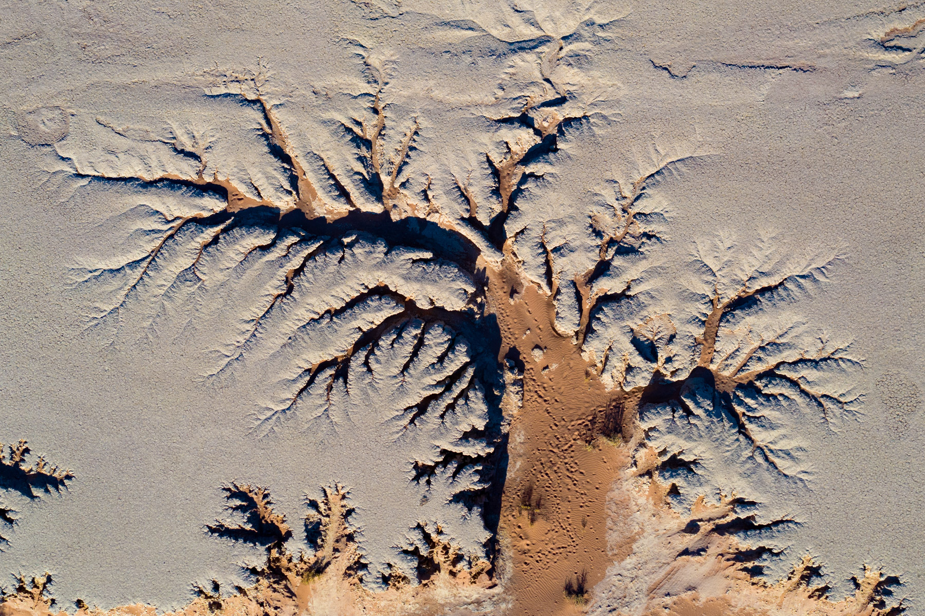Aerial detail of Deadvlei during our Namibia photography tour