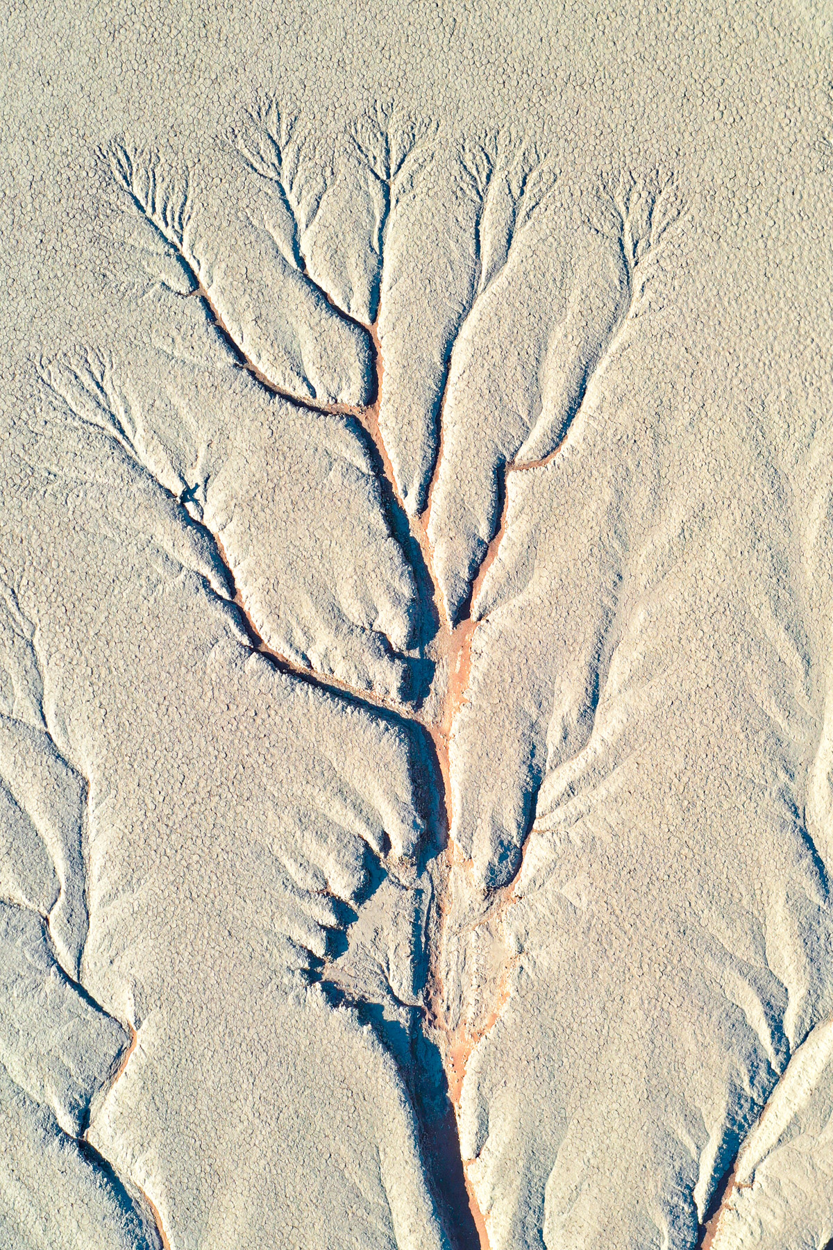 Deadvlei aerial detail shows ancient paths of water through the clay pan