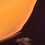 Beauty in simplicity. Sossusvlei at sunrise during our Namibia photography tour