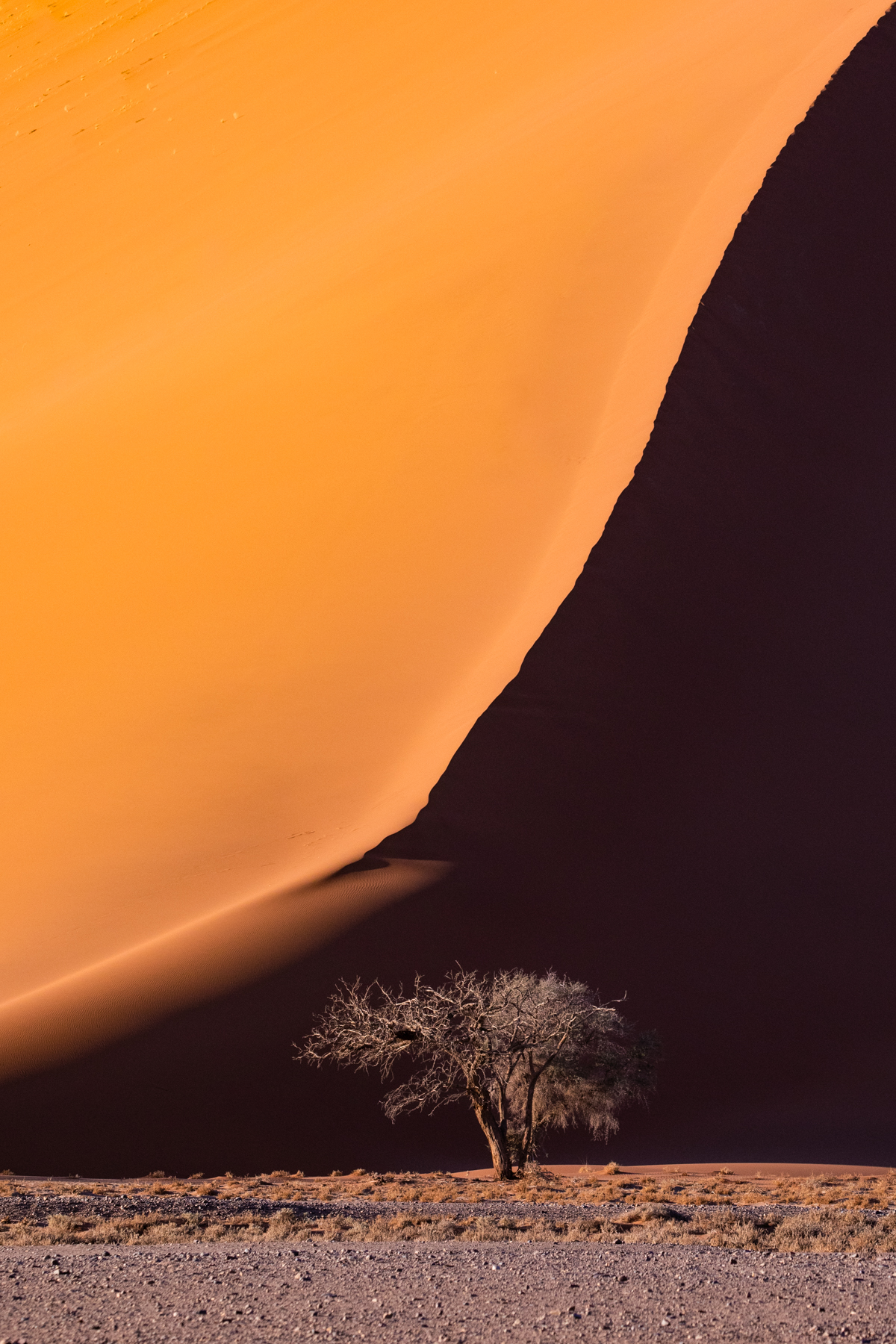 Beauty in simplicity. Sossusvlei at sunrise during our Namibia photography tour