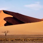 The simple beauty of landscape photography in Sossusvlei