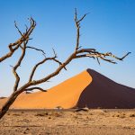 Sossusvlei is never an unattractive office. Our expedition cars lie waiting for us to finish our landscape photography there.