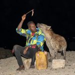 Abbas, the most famous 'Hyena Man' of Harar, feeding a friend (image by Mark Beaman)