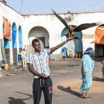 The Kite Man of Harrar, with friend, on our Ethiopia wildlife photography tour (image by Mark Beaman)