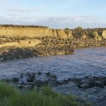 The massive, 50,000 plus wildebeest crossing starting at Entim on 20 August 2020 (image by Mark Beaman)