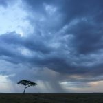 Mara landscape on a squally afternoon (image by Mark Beaman)