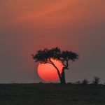 Mara sunrise (image by Mark Beaman)