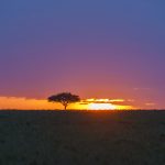 Mara sunrise (image by Mark Beaman)