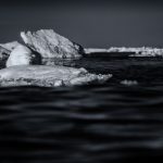 Sleeping Polar Bear in infrared (image by Duncan Phillips)