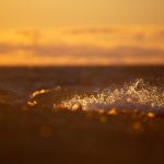 Bathed in the sunset (image by Irene Amiet)