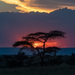 Dramatic sunset skies in Olare Motorogi Conservancy (image by Inger Vandyke)