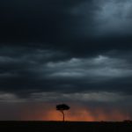 Storm skies engulf the last light of sunset in the Mara (image by Inger Vandyke)