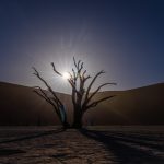 Desert sunburst
