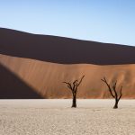 Playing with trees, light and shadows in Deadvlei on our Namibia photography tour