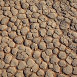 Clay pan detail in Deadvlei Namibia
