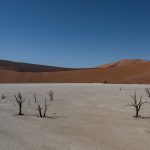 The famous dead Camel Thorn trees of Deadvlei on our Namibia Photography Tour