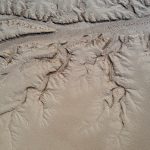 Water sculpts clay in Deadvlei