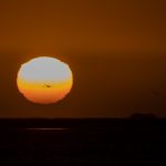 Heat haze added to the glory of our only sunset on the coast of Namibia