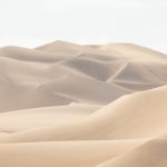 Beautiful dunes of coastal Namibia on our photography tour
