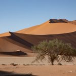 The beautiful dunes of Sossusvlei on the Wild Images photo tour in Namibia