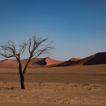 Landscape photography on a photo tour in Namibia